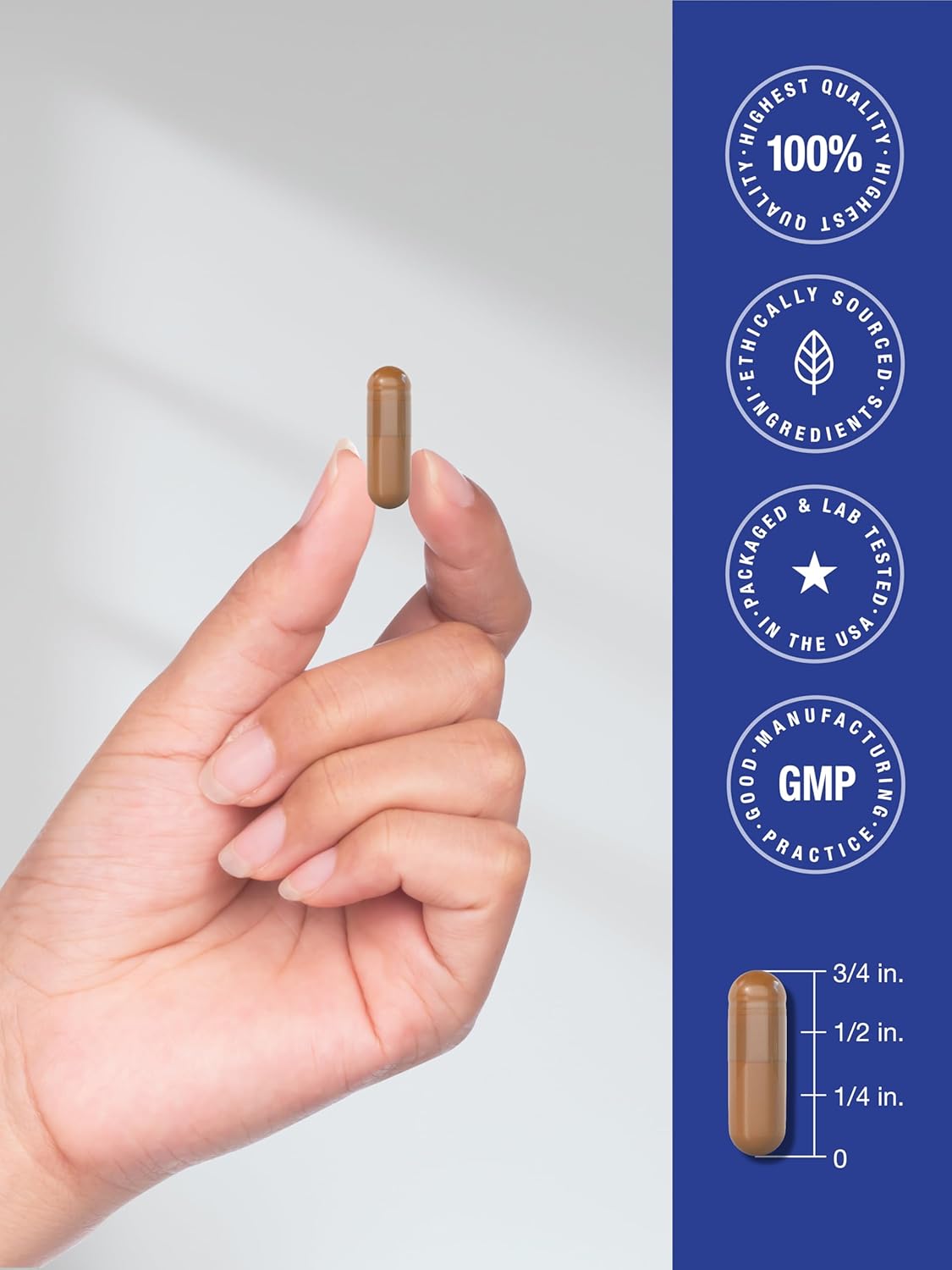 Horbäach Suplemento de PQQ 40 mg | 120 Cápsulas | Máxima Potencia | Sin Gluten y No-GMO