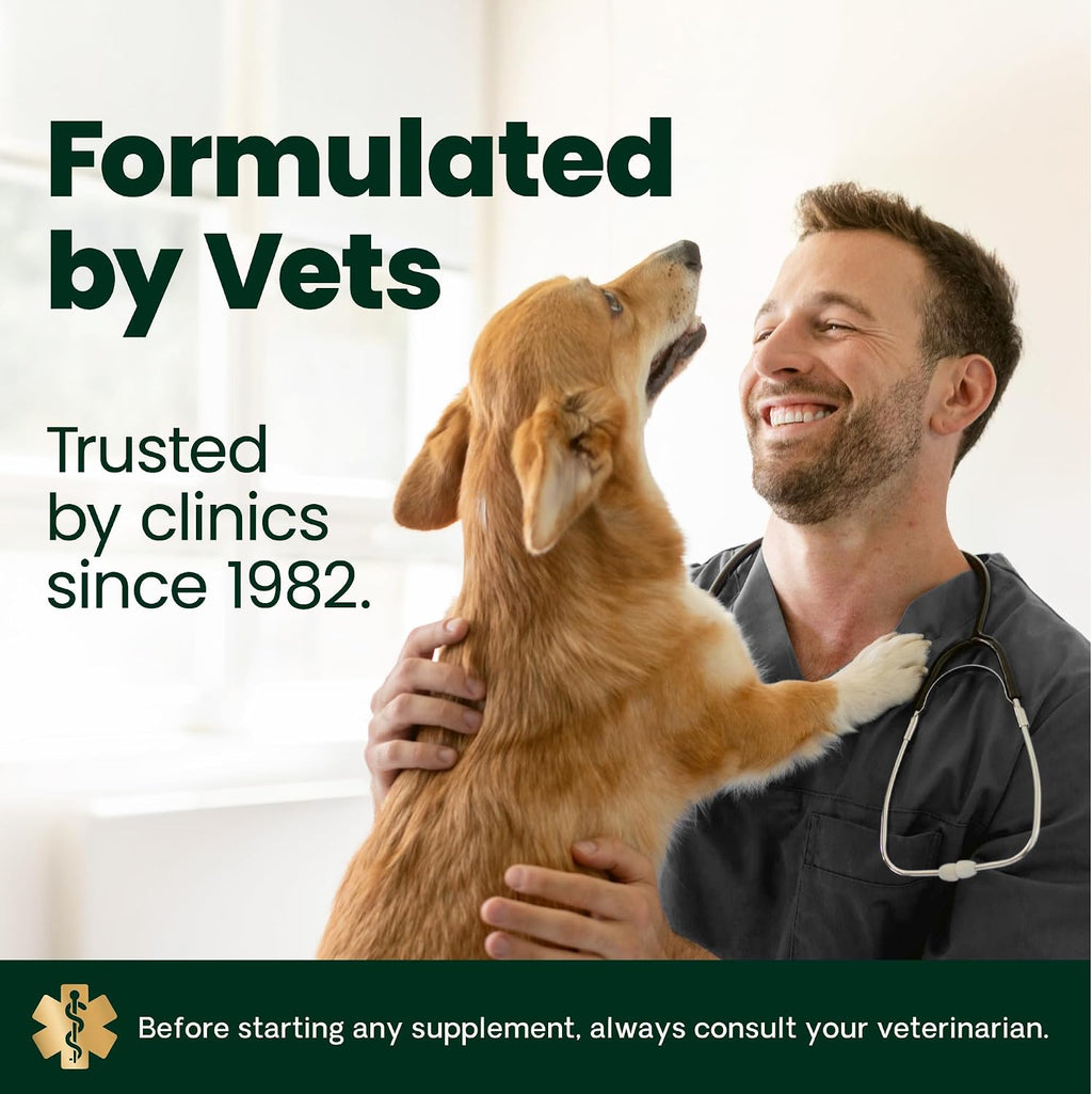 VetriScience Derma Strength Masticables para Piel y Pelo de Perros, con Aceite de Salmón, 70 unidades
