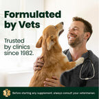 VetriScience Derma Strength Masticables para Piel y Pelo de Perros, con Aceite de Salmón, 70 unidades