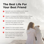Nutri-Vet Allerg-Eze Chewables for Dogs - Antioxidants and Omega-3