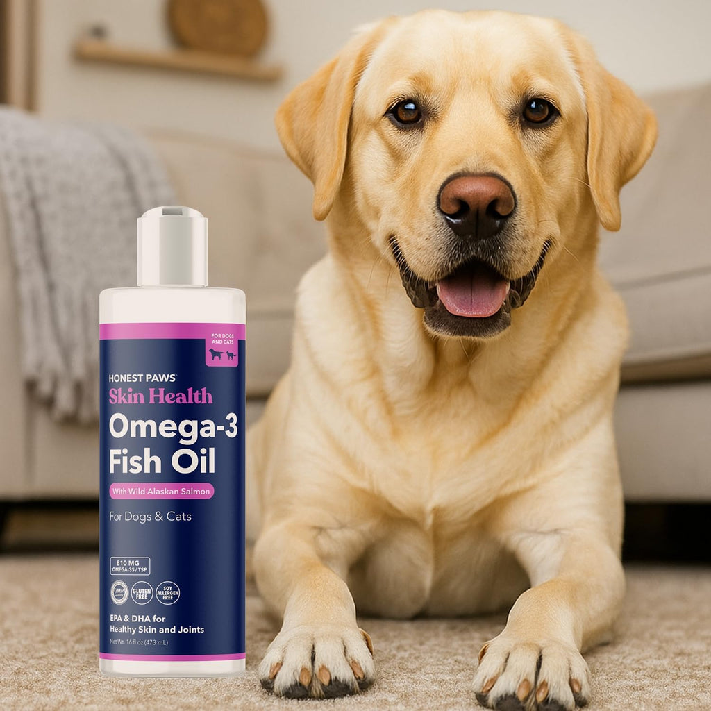 Aceite de Salmón para Perros y Gatos – Omega 3 – 473 ml