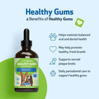 Pet Wellbeing Healthy Gums para Perros - Gotas Tópicas para Cuidado Bucal, Salud Dental y Aliento Fresco - Certificado NASC y Formulado por Veterinarios - Líquido de 118 ml