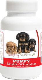 Healthy Breeds Cavalier King Charles Spaniel Puppy Dog Multivitamin Tablet 60 Count
