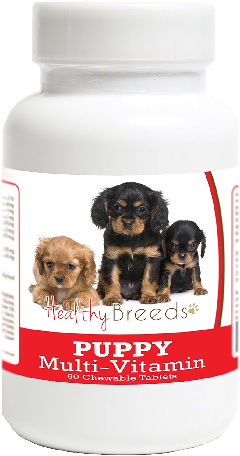 Healthy Breeds Cavalier King Charles Spaniel Puppy Dog Multivitamin Tablet 60 Count – Image 1