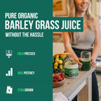 Organic Barley Grass Juice Powder - Cultivado en Suelo Volcánico de Utah - Forma Cruda y Bioactiva, Prensado en Frío y Secado con CO₂ – Sin Gluten, Sin OGM, Vegano - Complementa el Polvo de Jugo de Wheatgrass - 150 g