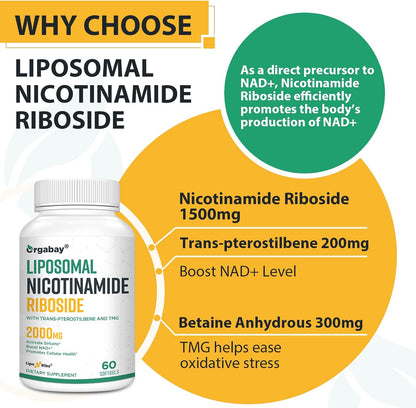 Orgabay Nicotinamida Ribósido Liposomal 2000 – TMG (betaína anhidra o trimetilglicina): Ayuda a mantener la – Image 5