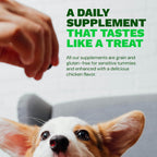 Get Joy Digestion Chews - Suplemento digestivo para perros con prebióticos, probióticos y posbióticos, 90 masticables