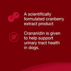 Nutramax Crananidin for Dogs - Cranberry Supplement for Urinary Health - Chewable Tablets, 75 Count