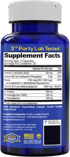 NATURAL STACKS Dopamine Brain Food - 650mg L-Tirosina - Complemento para el Enfoque y Energía Mental - 120 Cápsulas