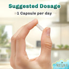 Vitamina B3 (Niacinamida) 500 mg - 240 Cápsulas - NGU Next Gen U