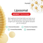 Haroutine Vitamina C Liposomal 1000mg – 60 Comprimidos (30 Dosis)