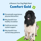 Pet Wellbeing Comfort Gold para Perros - Suplemento Herbal Veterinario 118 ml