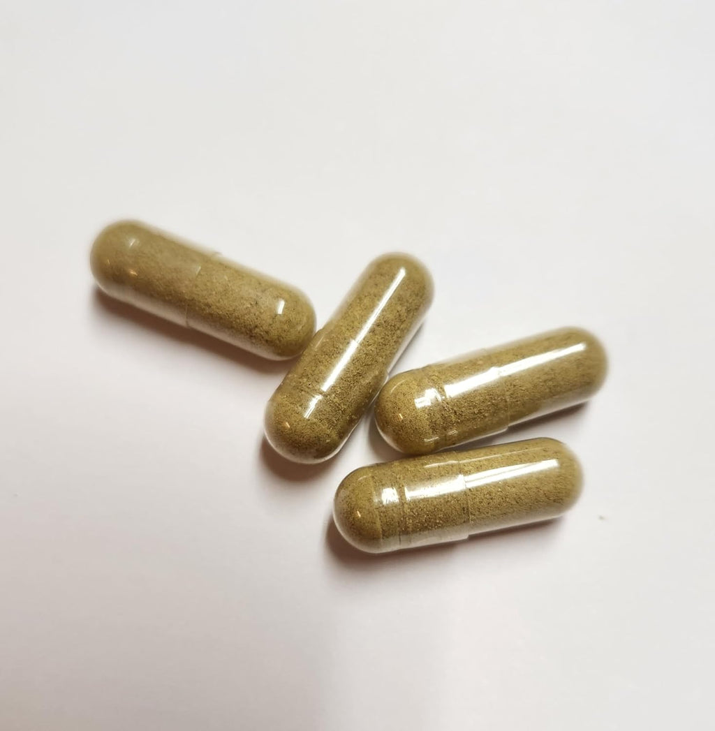 Cápsulas de Romero - 300 Cápsulas - Suplemento Herbal