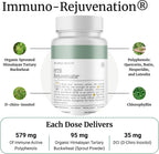 BIG BOLD HEALTH HTB Immune Rejuvenate – Trigo Sarraceno del Himalaya – Suplemento de Polifenoles – Sin Gluten, Sin Lácteos, No Transgénico – 120 Cápsulas Vegetales