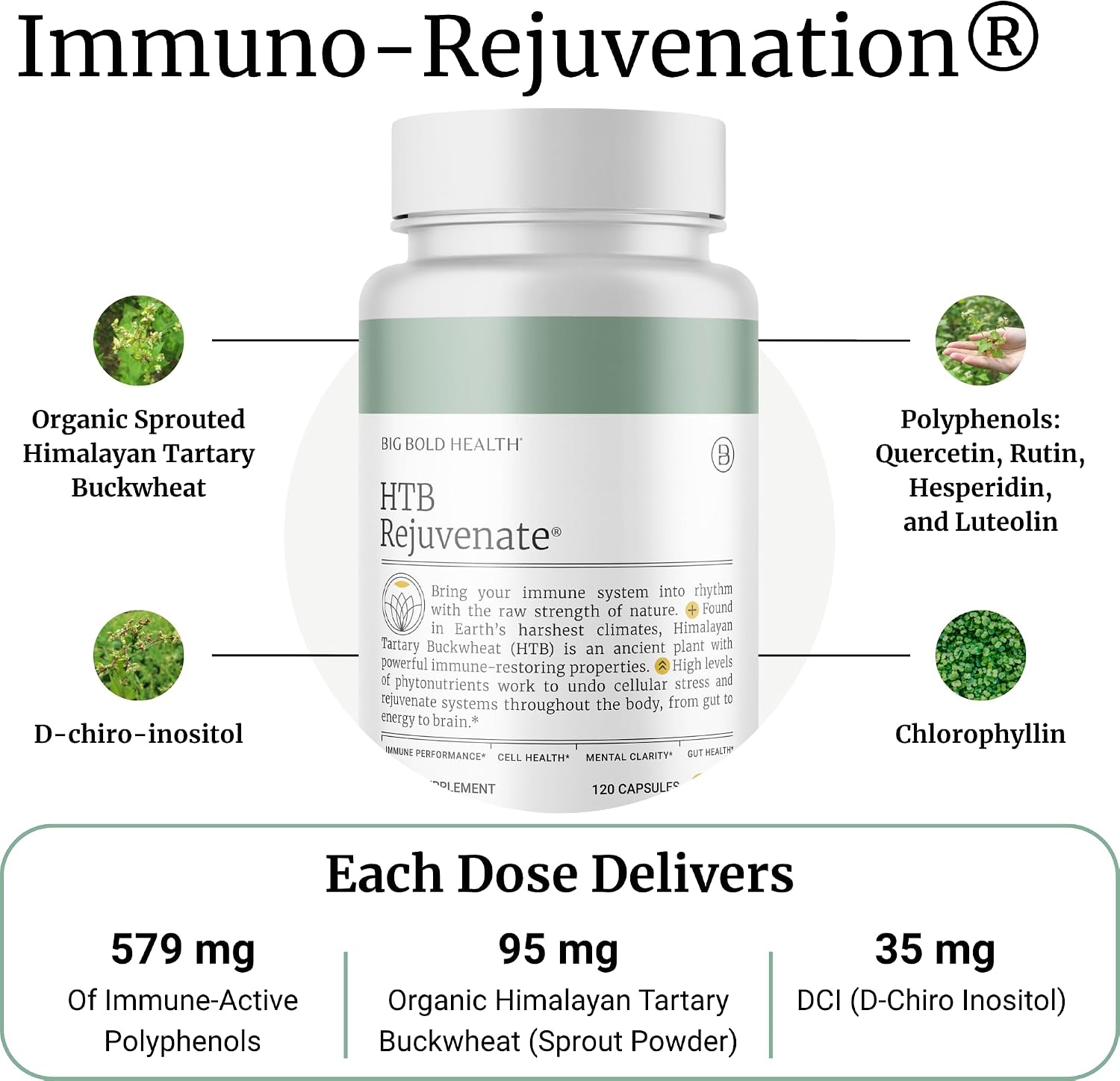 BIG BOLD HEALTH HTB Immune Rejuvenate – Trigo Sarraceno del Himalaya – Suplemento de Polifenoles – Sin Gluten, Sin Lácteos, No Transgénico – 120 Cápsulas Vegetales