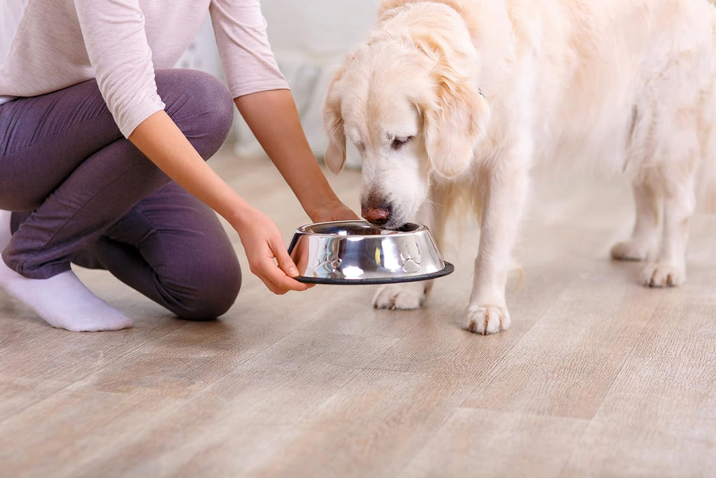 Pooch Nooch XL - Topper Gourmet para Perros con Levadura Nutricional y Hierbas - 213 g