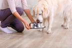 Pooch Nooch XL - Topper Gourmet para Perros con Levadura Nutricional y Hierbas - 213 g