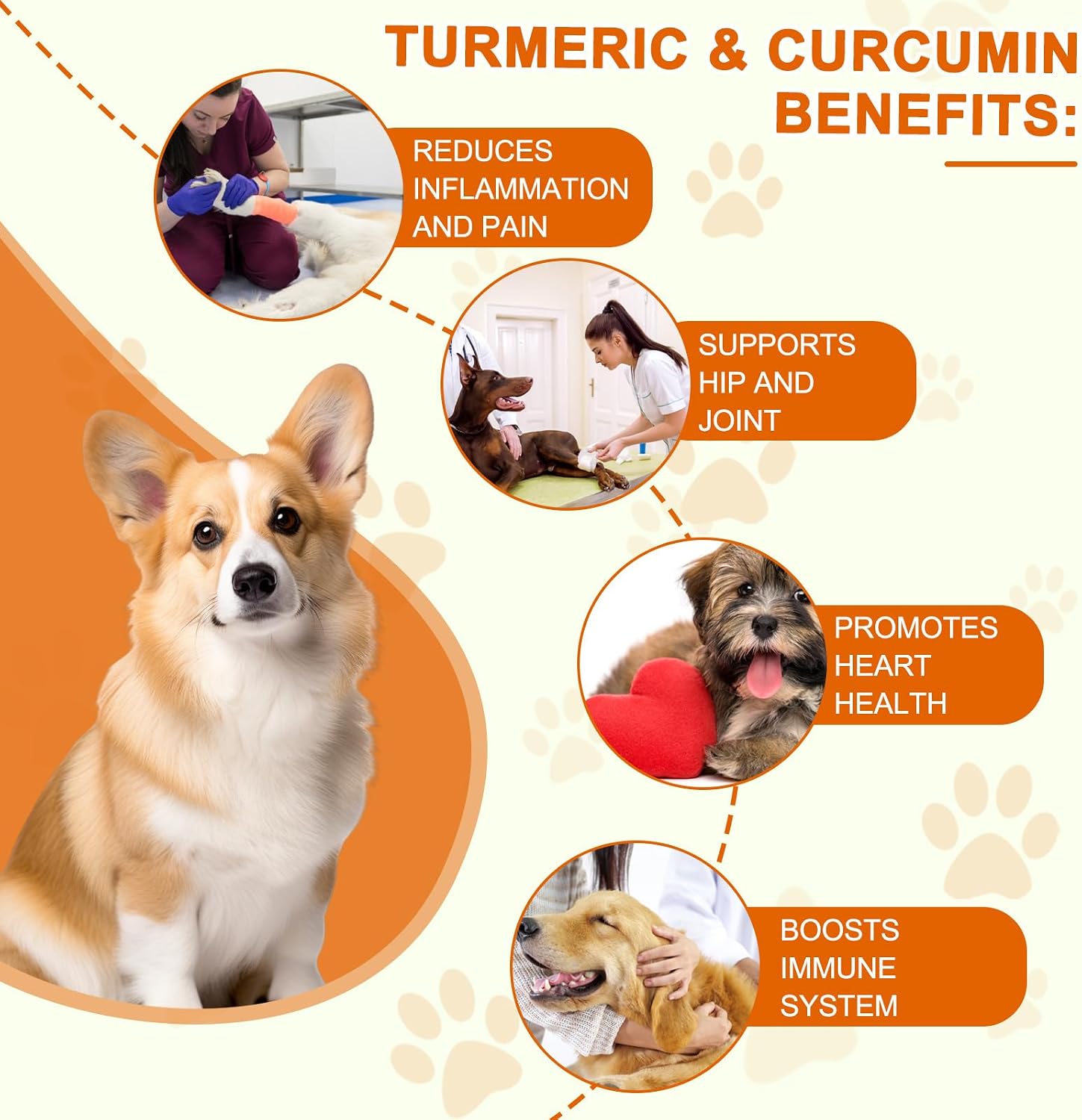 Cúrcuma para Perros, 180 Comprimidos de Cúrcuma Curcumina - ALIVO