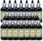 Sea Cucumber (Cucumaria Frondosa) Glicerita, Extracto Líquido Sin Alcohol 60 ml