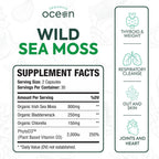 Organics Ocean Cápsulas de Musgo Marino Salvaje - 100% Orgánico con Chlorella, Bladderwrack y Vitamina D - 6 Botellas