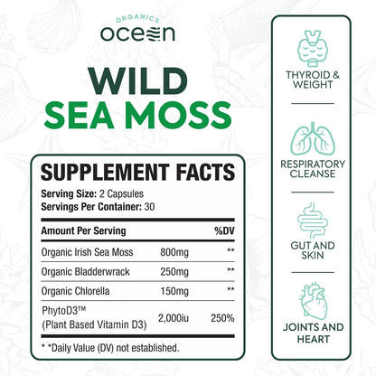 Organics Ocean Cápsulas de Musgo Marino – Función tiroidea: El yodo presente en el musgo marino y el bladderwrack – Image 2