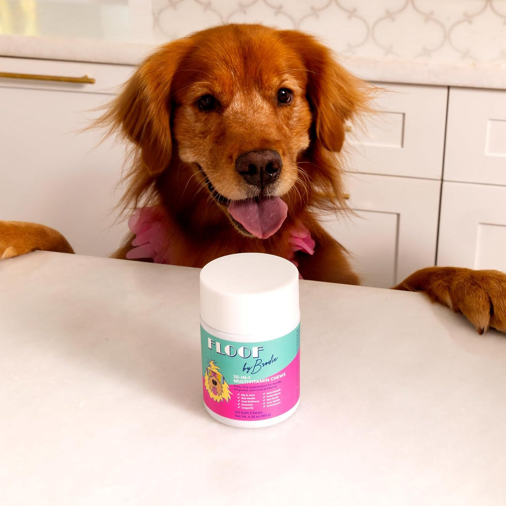Floof by Brodie 10-en-1 Multivitamínico para Perros - 60 Masticables (180 g)