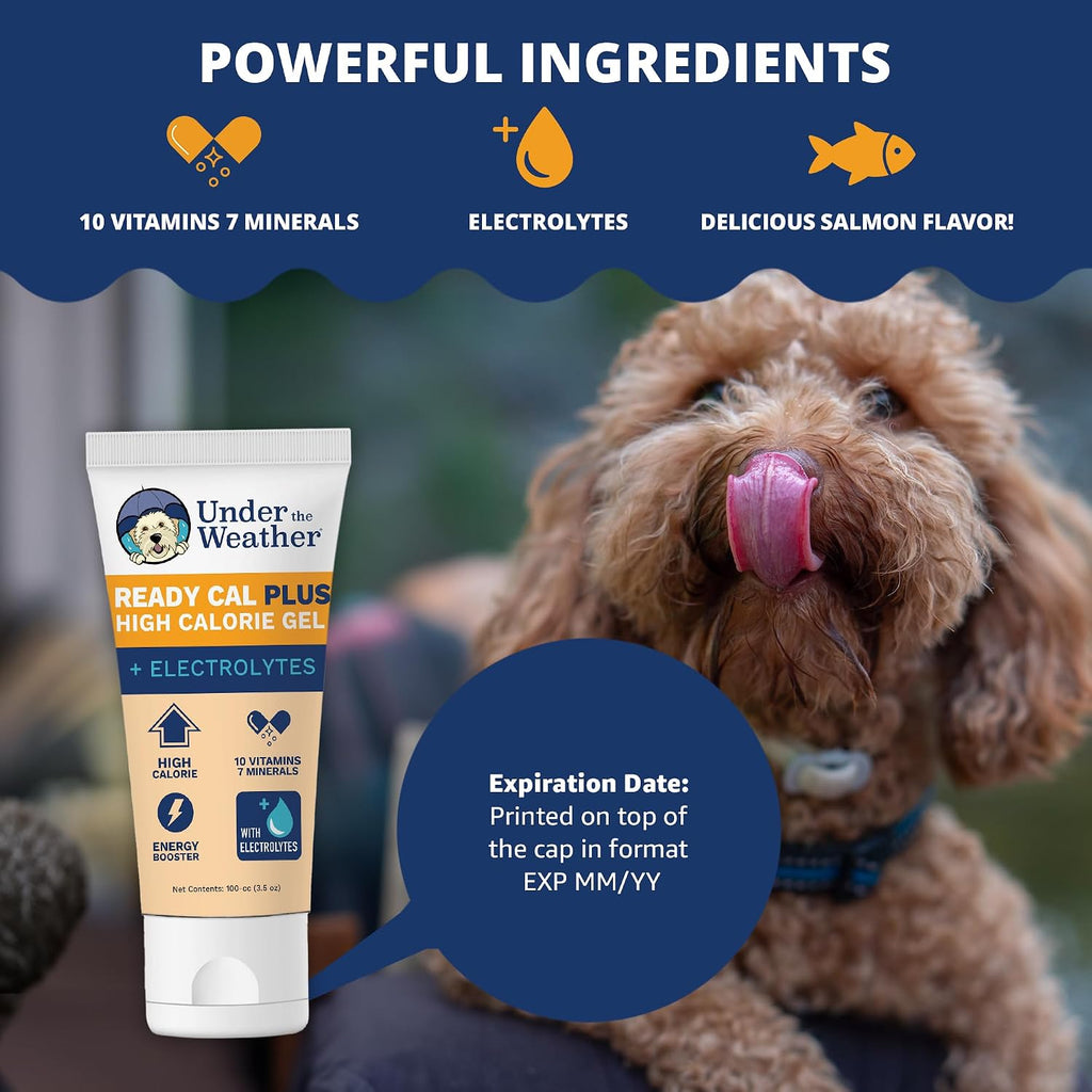 Under the Weather Ready Cal Plus Gel para Perros - Suplemento de Alto Contenido Calórico con Electrolitos (99g)