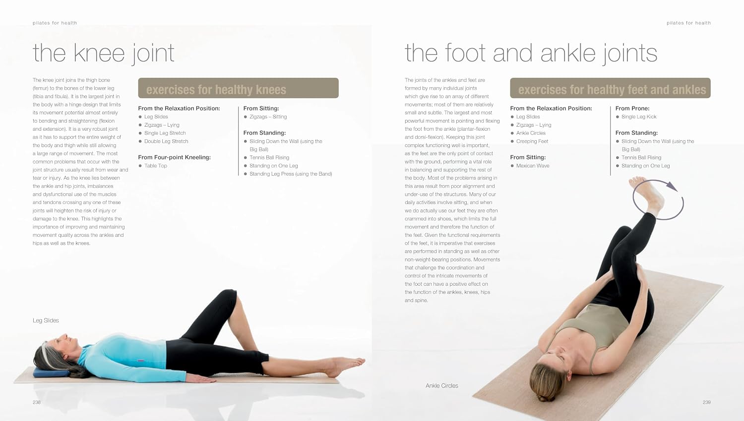 The Pilates Bible: The most complete and accessible guide to Pilates ever published