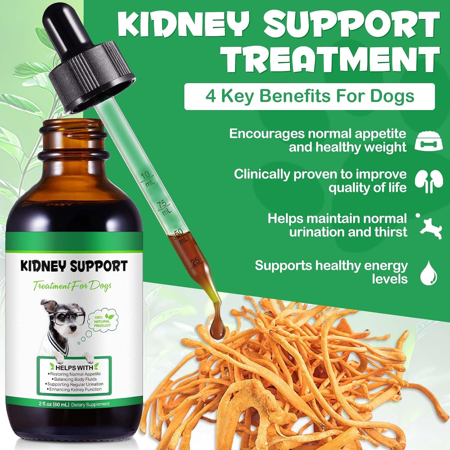 Onznoz Suplemento Renal para Perros - Apoyo Renal e Inmunidad - 60 ml
