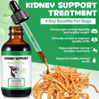 Kidney Support for Dogs - Suplemento Herbal para el Apoyo Renal, 60ml