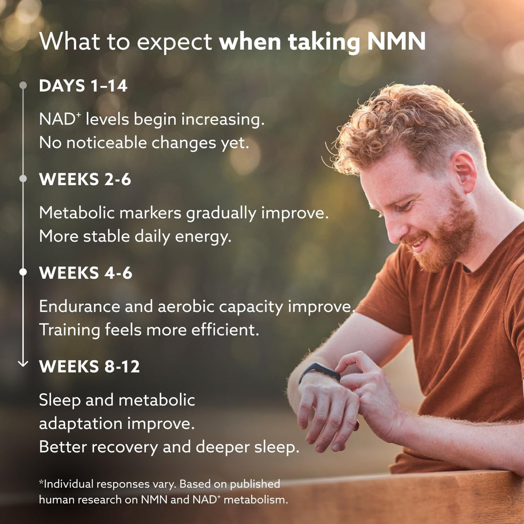 PUROVITALIS NMN en Polvo 99% Puro - Suplemento de Nicotinamida Mononucleótido para NAD+, Salud Celular y Energía - 30g (2 meses)