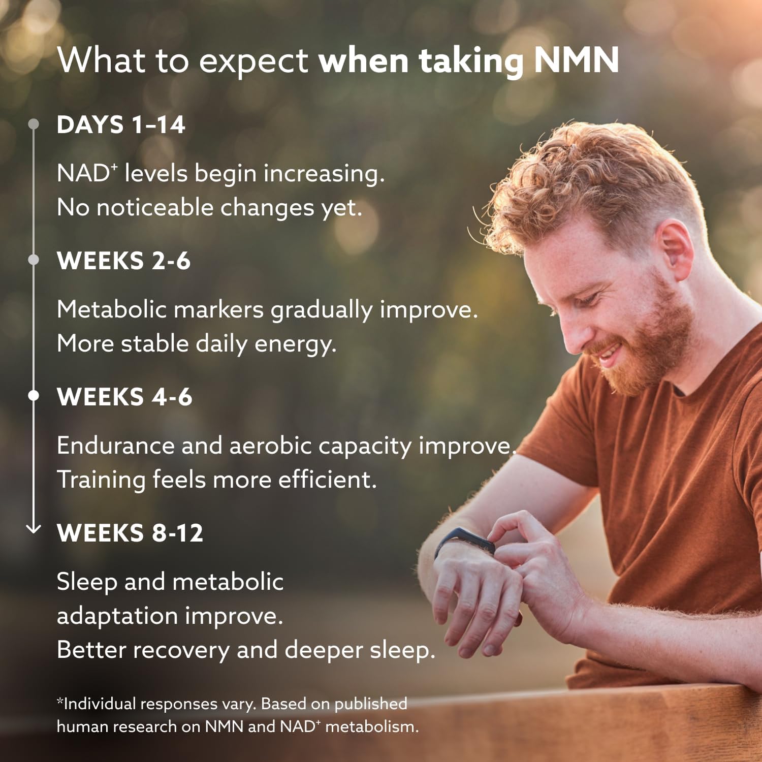 PUROVITALIS NMN en Polvo 99% Puro - Suplemento de Nicotinamida Mononucleótido para NAD+, Salud Celular y Energía - 30g (2 meses)