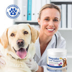 Hepato Liver Support for Dogs – Cardo Mariano con Complejo B (60g)