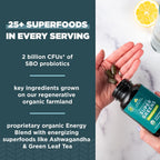 Ancient Nutrition Supergreens Energizer, Comprimidos Orgánicos con Cafeína, 90 uds