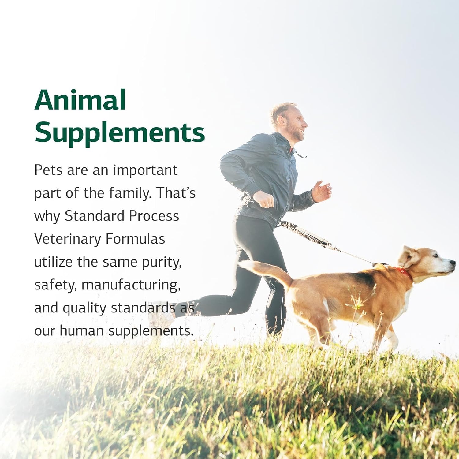 Standard Process Mushroom Complex para Perros y Gatos - Suplemento Inmunitario con Colostro Bovino y Melena de León - 82 g