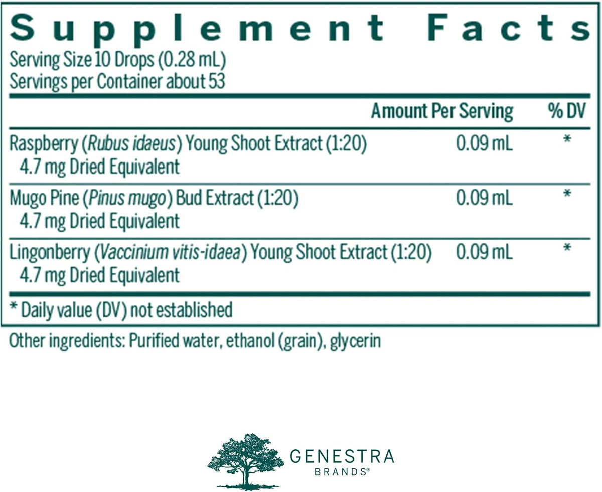 Genestra Brands Meno-gen | Suplemento herbal de frambuesa, pino mugo y arándano rojo | 15 ml – Image 2
