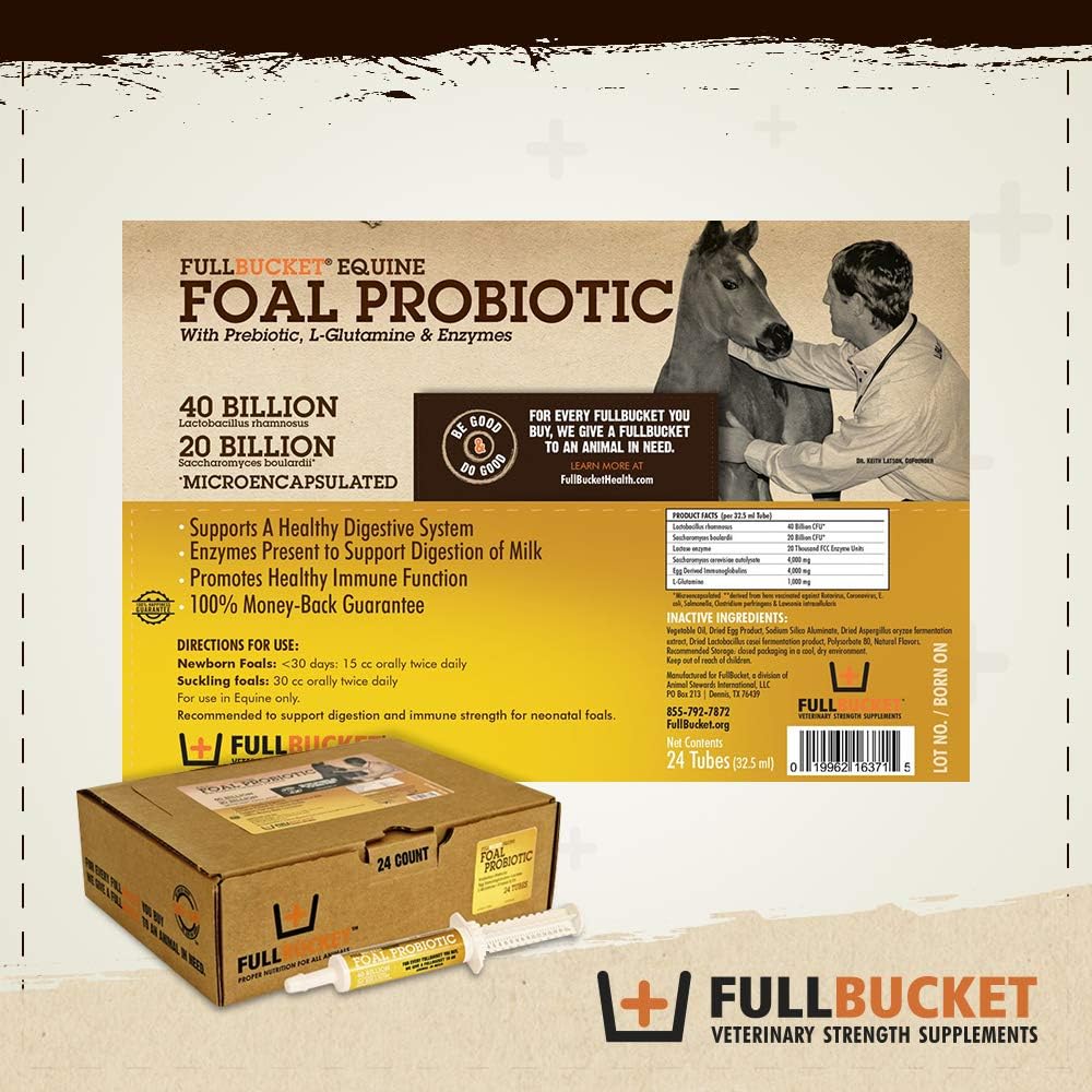 Pasta probiótica Health Foal, suplemento nutricional totalmente natural, tubo de 32.5 gramos