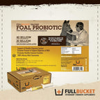 Pasta probiótica Health Foal, suplemento nutricional totalmente natural, tubo de 32.5 gramos