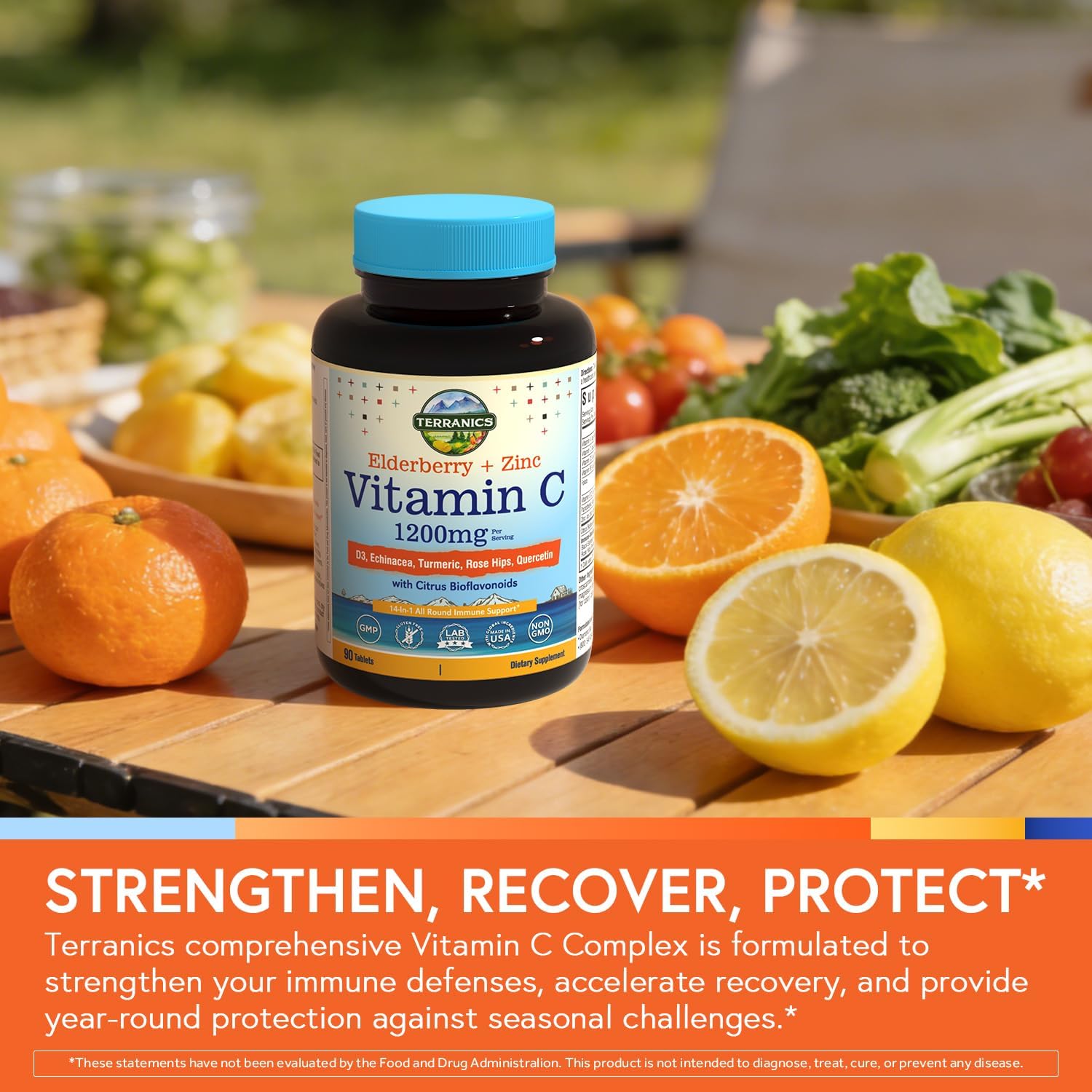 Terranics Vitamin C con Elderberry y Zinc, con Vitamina D3, A, B6, B12, Folato, Escaramujo, Bioflavonoides Cítricos, Cúrcuma, Equinácea, 14-en-1 Apoyo Inmunológico Diario, 90 Comprimidos