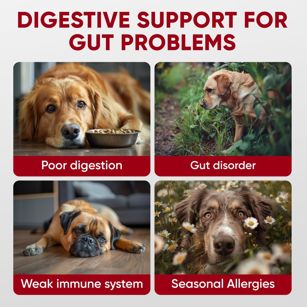 Probióticos para Perros - Masticables Digestivos con Enzimas de Pawzitive Pets