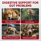 Probióticos para Perros - Masticables Digestivos con Enzimas de Pawzitive Pets
