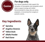 Vet Classics Blood & Energy Dog Supplement – Suplemento herbario para perros – 120 comprimidos masticables