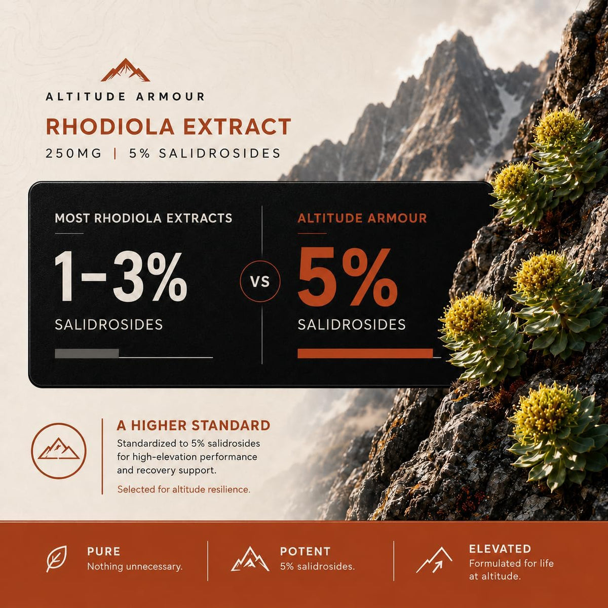Altitude Sickness Prevention – Altitude Armour Premium Altitude Acclimation Support – Highly Bioavailable High Elevation – Image 8