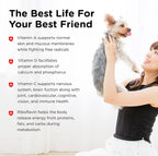 Nutri-Vet Multi-Vite Masticables Multivitamínicos para Perros Adultos