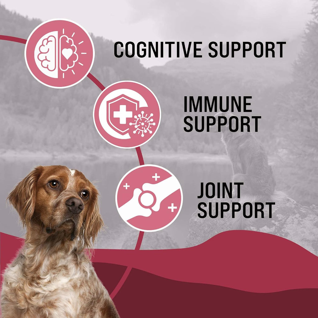 Dr. Boe's Veterinary Essentials VetraHealth Omega-3 Completo – Apoyo para Piel, Articulaciones, Cognitivo e Inmunológico para Perros – Aceite de Pescado Líquido con EPA y DHA