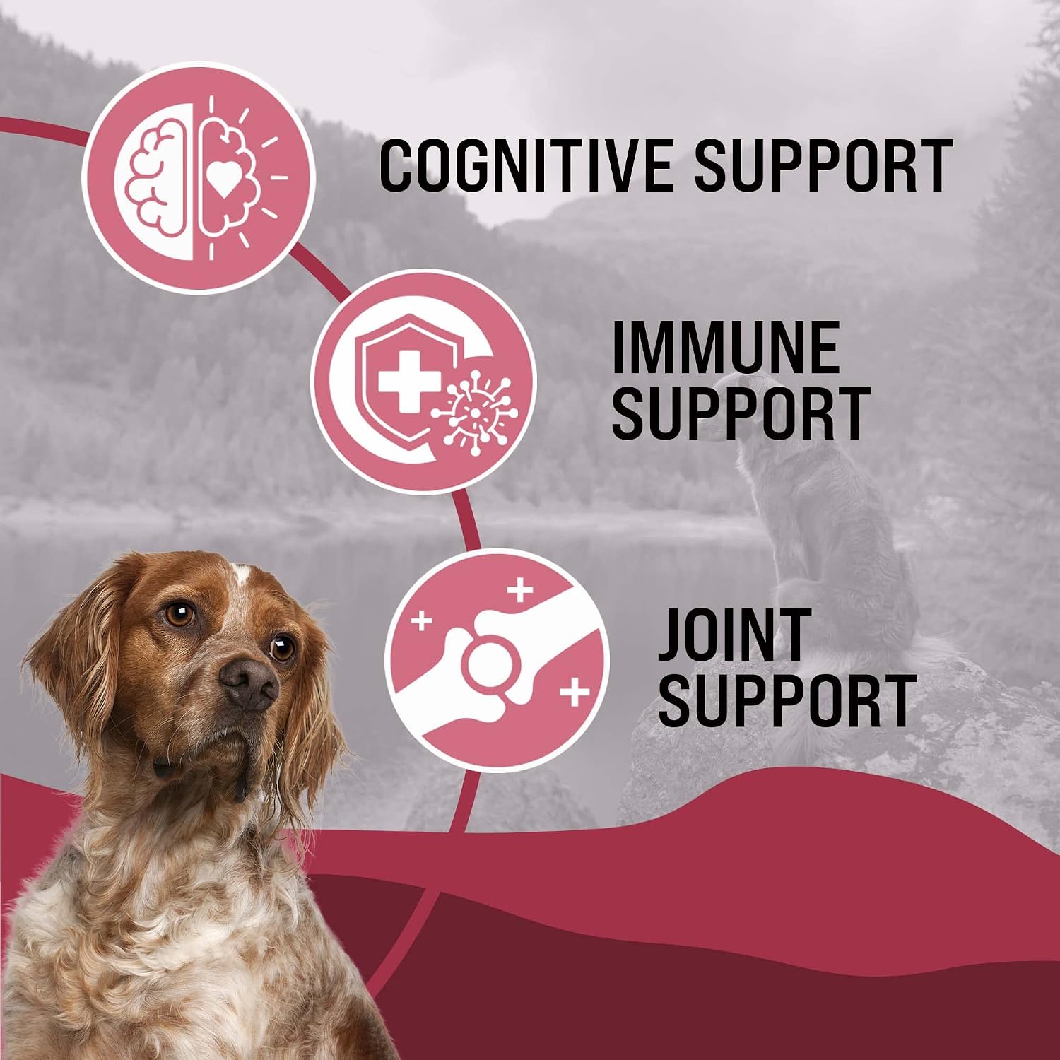 Dr. Boe's Veterinary Essentials VetraHealth Omega-3 Completo – Apoyo para Piel, Articulaciones, Cognitivo e Inmunológico para Perros – Aceite de Pescado Líquido con EPA y DHA