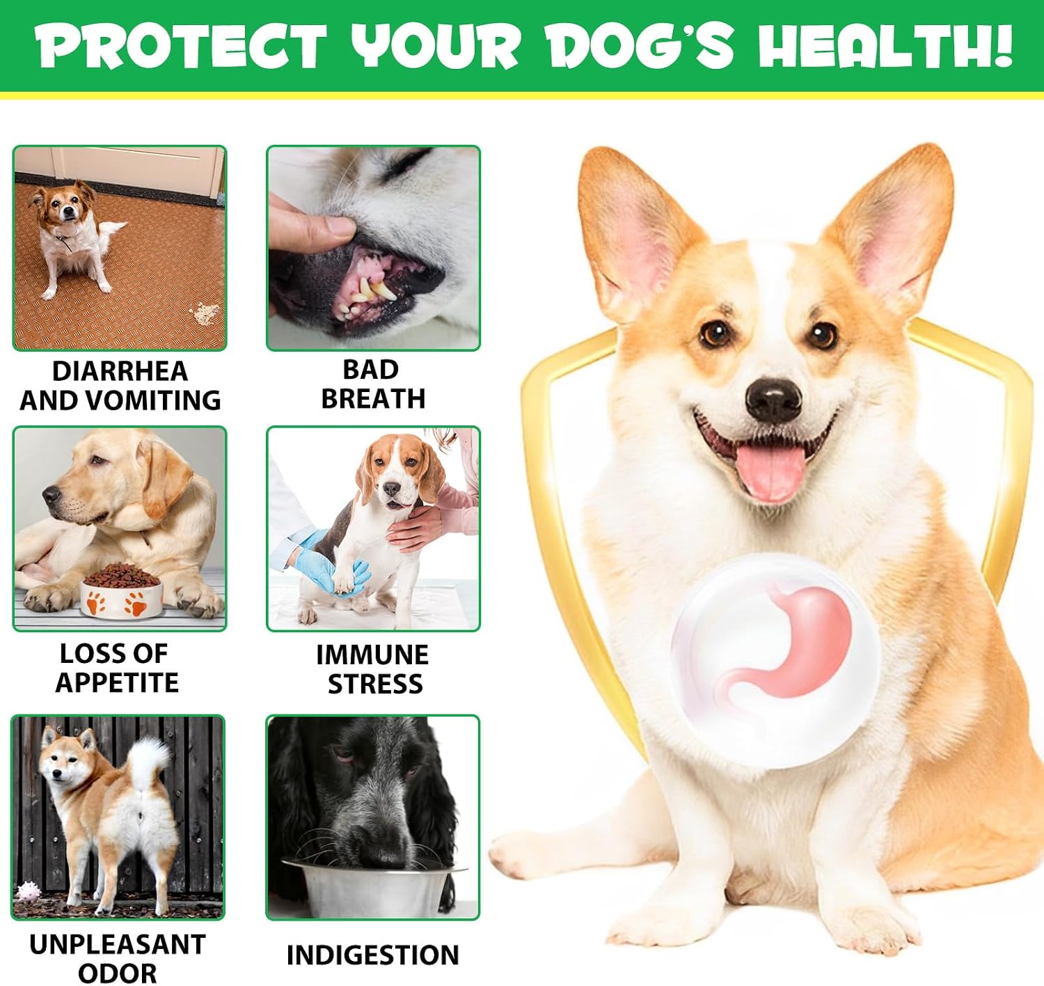 FSLHCY Probióticos para Perros, 180 Masticables con Enzimas Digestivas y Prebióticos - Sabor a Pato de Pekín