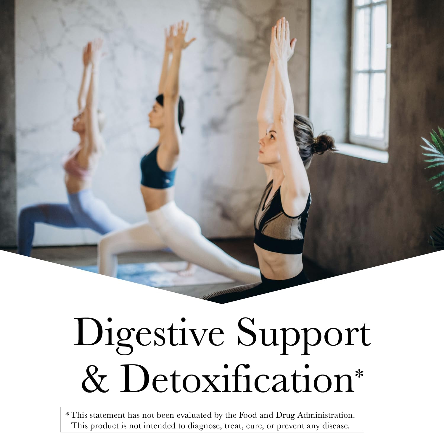 Wormwood Herbal Kit con Nuez Negra, Clavo y Quassia - Suplemento Depurativo