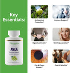 Paradise Herbs Amla – Organic Full-Spectrum Vitamin C, 250 mg, 60 Vegetable Capsules
