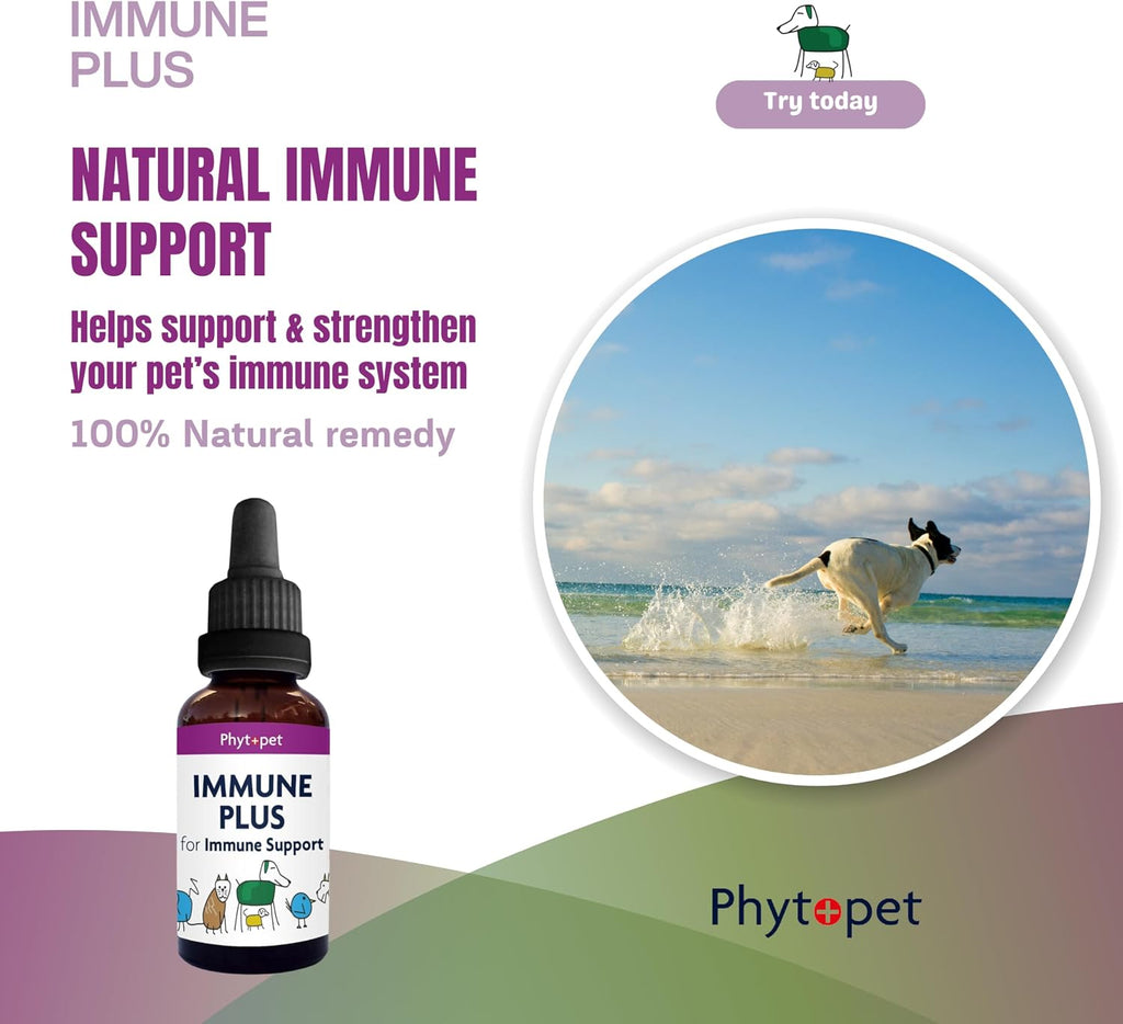 Phytopet Immune Plus - Suplemento herbal 100% natural de 30 ml para el sistema inmunitario de mascotas